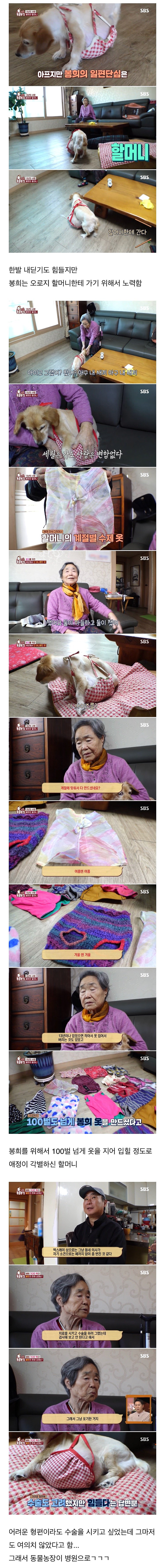 image.png 80대 할머니를 울게 만든 동물농장 제작진들 .jpg