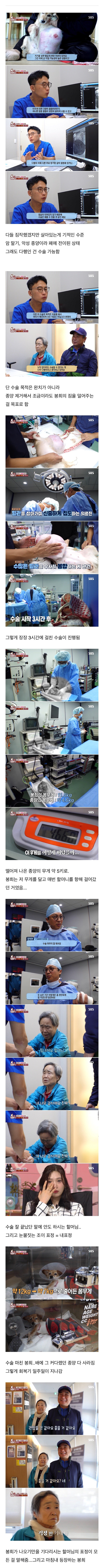image.png 80대 할머니를 울게 만든 동물농장 제작진들 .jpg