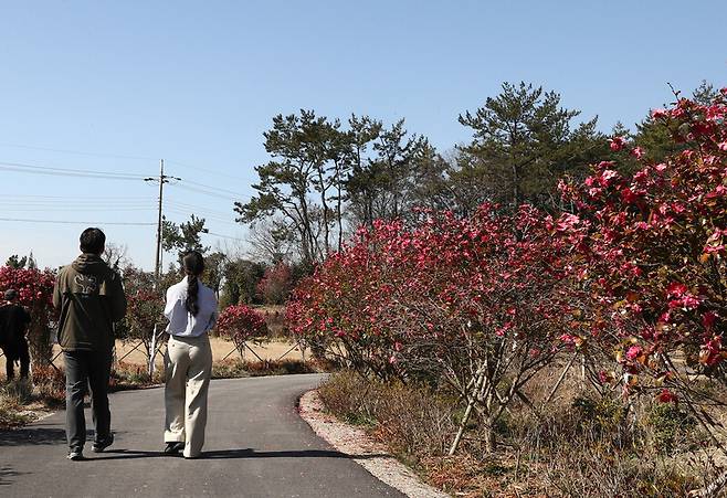 ‘산이정원’ 곳곳에 핀 아름다운 꽃들. 박미향 기자