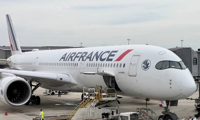 프랑스 파리 샤를드골국제공항의 에어프랑스 여객기./사진=AFP=뉴스1