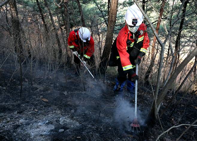 경북과 경남을 휩쓴 대형 산불로 인해 현재까지 30명이 숨지고 여의도 면적의 166배에 달하는 산림 약 4만8000㏊가 파괴됐다. 사진은 불전문예방진화대가 29일 경북 안동시 고하리 부근 산에서 잔불 진화 작업을 하고 있는 모습. /사진=뉴시스