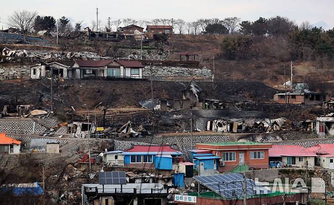 [영덕=뉴시스] 이무열 기자 = 29일 경북 영덕군 영덕읍 노물리 마을이 산불로 전소돼 폐허가 되어 있다. 2025.03.29. lmy@newsis.com