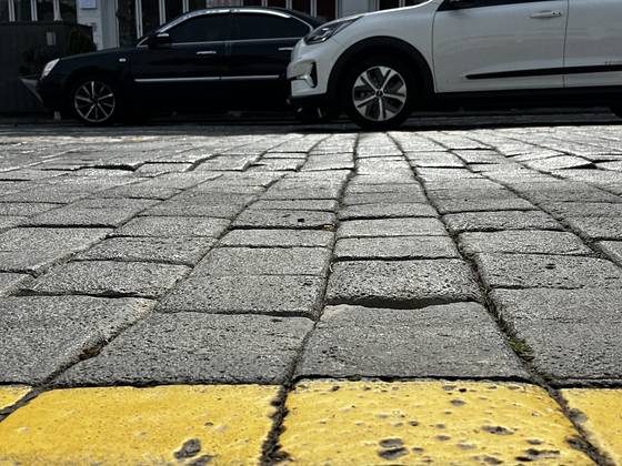 25일 제주시 산지로 구간에 깔린 사괴석들. 최충일 기자