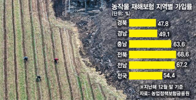 28일 경북 의성군 점곡면 윤암리 한 마늘밭 인근 비탈이 산불에 검게 탄 가운데 농민들이 일을 하고 있다. 의성=연합뉴스