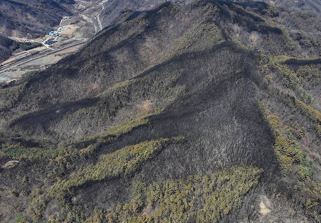 산림 할퀸 산불 [촬영 윤관식]