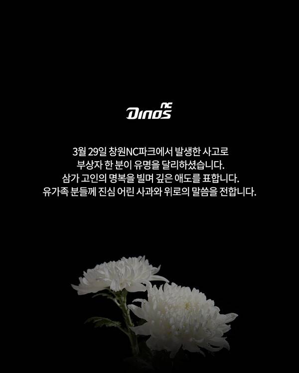 애도 성명을 낸 NC 다이노스. 사진┃NC 다이노스