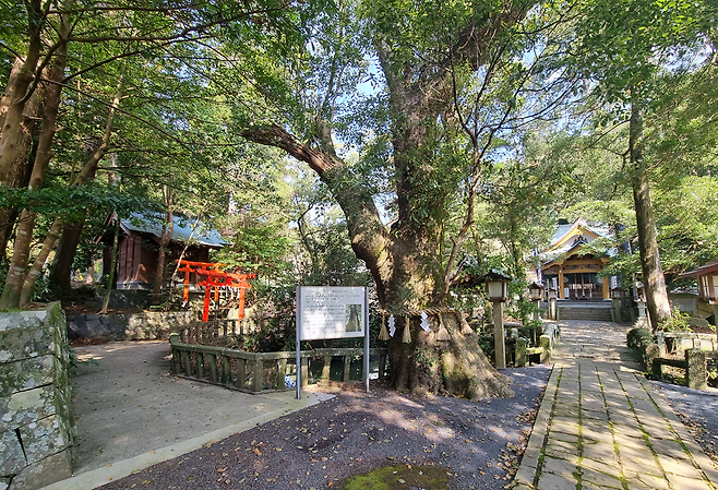 image.png 일본 이키섬( 壱岐島 ( いきのしま ) ) 자전거 여행 기록