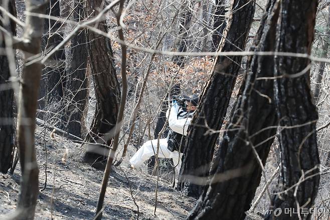 (의성=뉴스1) 공정식 기자 = 31일 오전 경북 의성군 안평면 괴산리 산불 발생 현장에서 국립과학수사연구원·소방·경찰 관계자들이 합동감식을 벌이고 있다. 2025.3.31/뉴스1  Copyright (C) 뉴스1. All rights reserved. 무단 전재 및 재배포,  AI학습 이용 금지. /사진=(의성=뉴스1) 공정식 기자