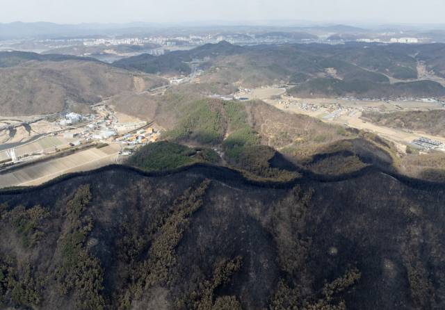 ▲ 3월 30일 주불 진화가 완료된 경북 안동시 남후면 일대 산들이 까맣게 타 있다. 멀리 안동 시내가 보인다. ⓒ연합뉴스