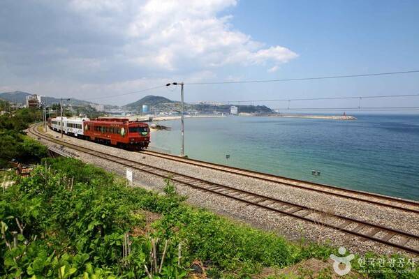동해 바다열차 (출처 =&nbsp;한국관광공사 포토코리아-이범수)