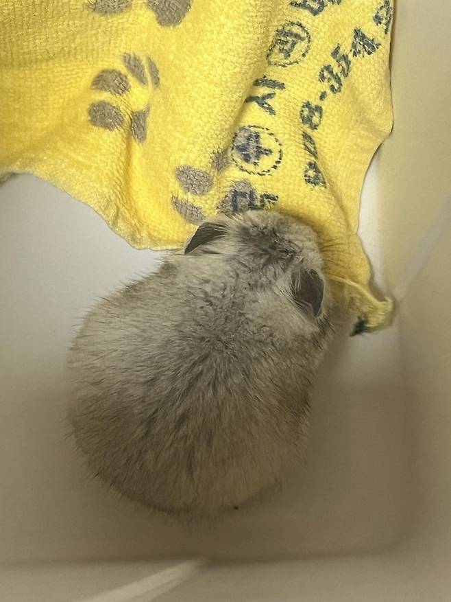 0490f719bd8361ff20b5c6b011f11a39da073866676141f700