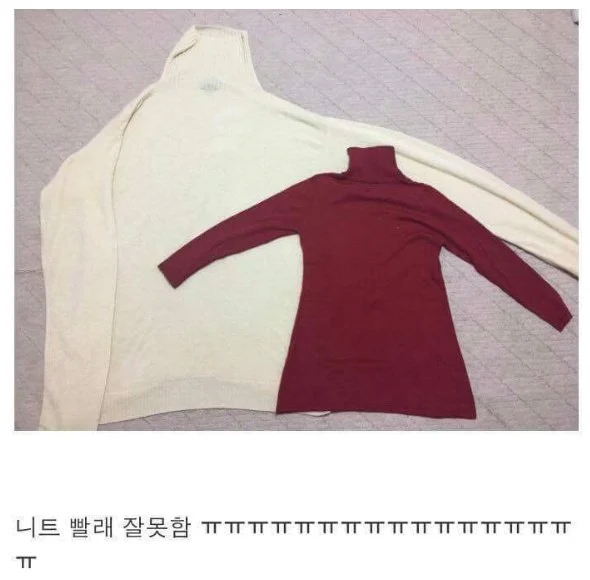 image.png 니트 빨래 잘못 함.jpg