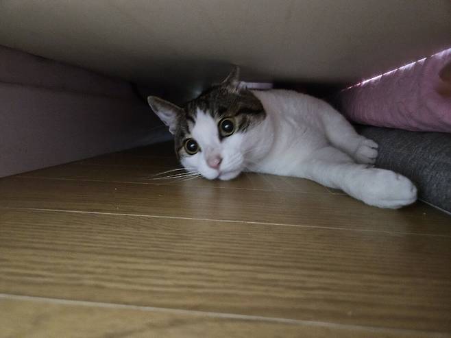 오랜만에 문봉식&문필두 사진전.