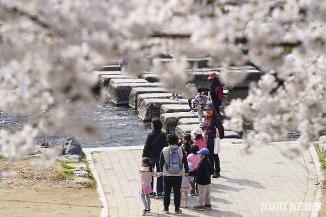 지난해 4월 서울 강남구 양재천 벚꽃길을 찾은 시민들. 쿠키뉴스 자료사진