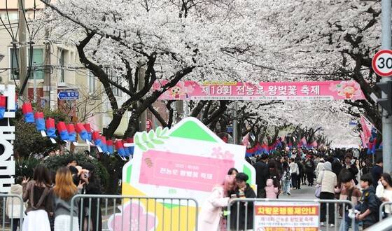 지난 29일 오후 제주시 삼도일동 거리에 왕벚꽃 축제를 보기 위해 시민과 관광객들의 발길이 이어지고 있다. 뉴시스