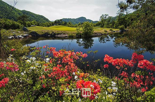 프리스틴밸리 컨트리클럽 코스 전경. (사진=한국골프장경영협회)