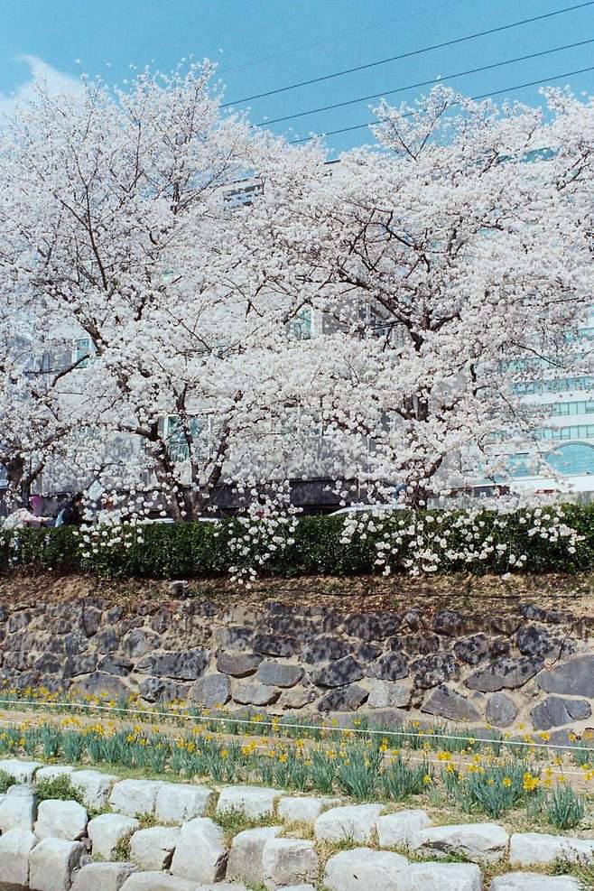 7f9b8173b7846ef023ecf3ed4e9c706b603a623510212e78b7becff81759d7ca350a4573bc14d6e4a229db75b24f7446a6195bbdf8