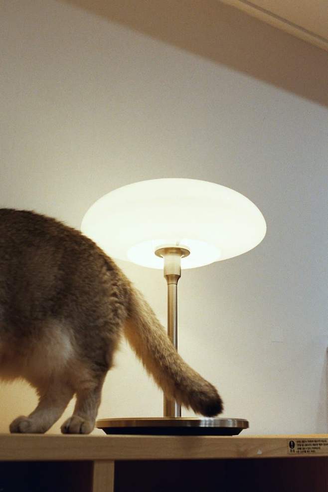 0bed837eb0f76af123ee8ee2439c70180d806e10dbcd9a192f81586e702da582bb10d5822cf85b78db4ab21b4a2180c009b96c60bf