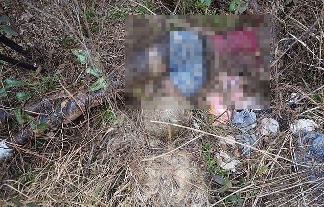 시신으로 오인된 성인용 장난감. 사진=미국 조지아주 존 카운티 보안관 사무실