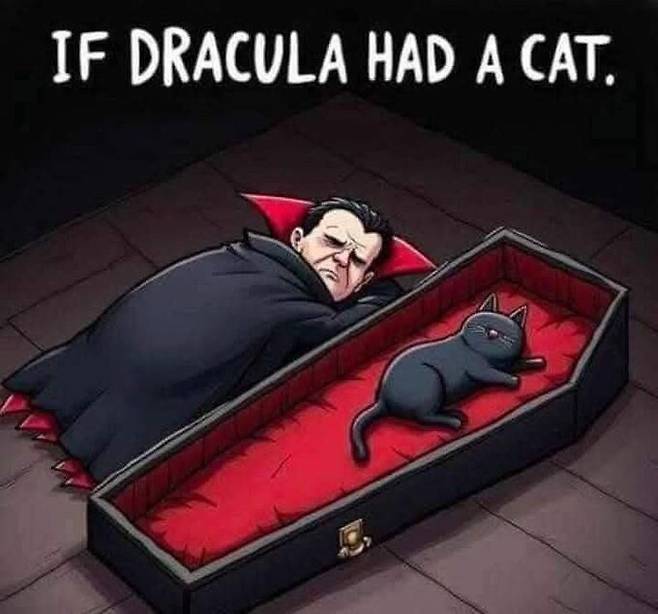 고양이를 키우는 드라큘라.jpg