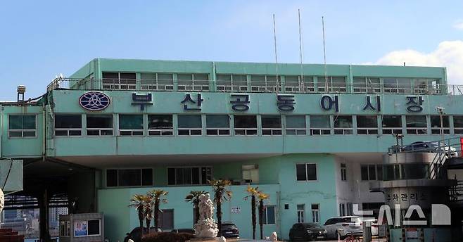 [부산=뉴시스] 하경민 기자 = 부산 서구 남부민동 부산공동어시장. yulnetphoto@newsis.com