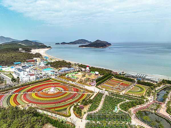 임자도 튤립 축제 전경. 절반 넘는 땅이 해수면 아래 있었던 임자도의 지형은 네덜란드를 닮았다. 튤립이 생육하기에 최적의 조건을 갖춘 셈이다. 올해 축제는 4월 11일부터 4월 20일까지.