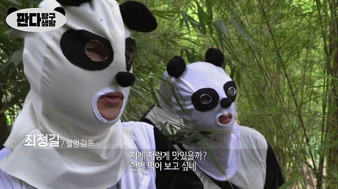 중국에 판다 다큐 찍으러 간 한국 pd들.jpg 중국에 판다 다큐 찍으러 간 한국 pd들.jpg