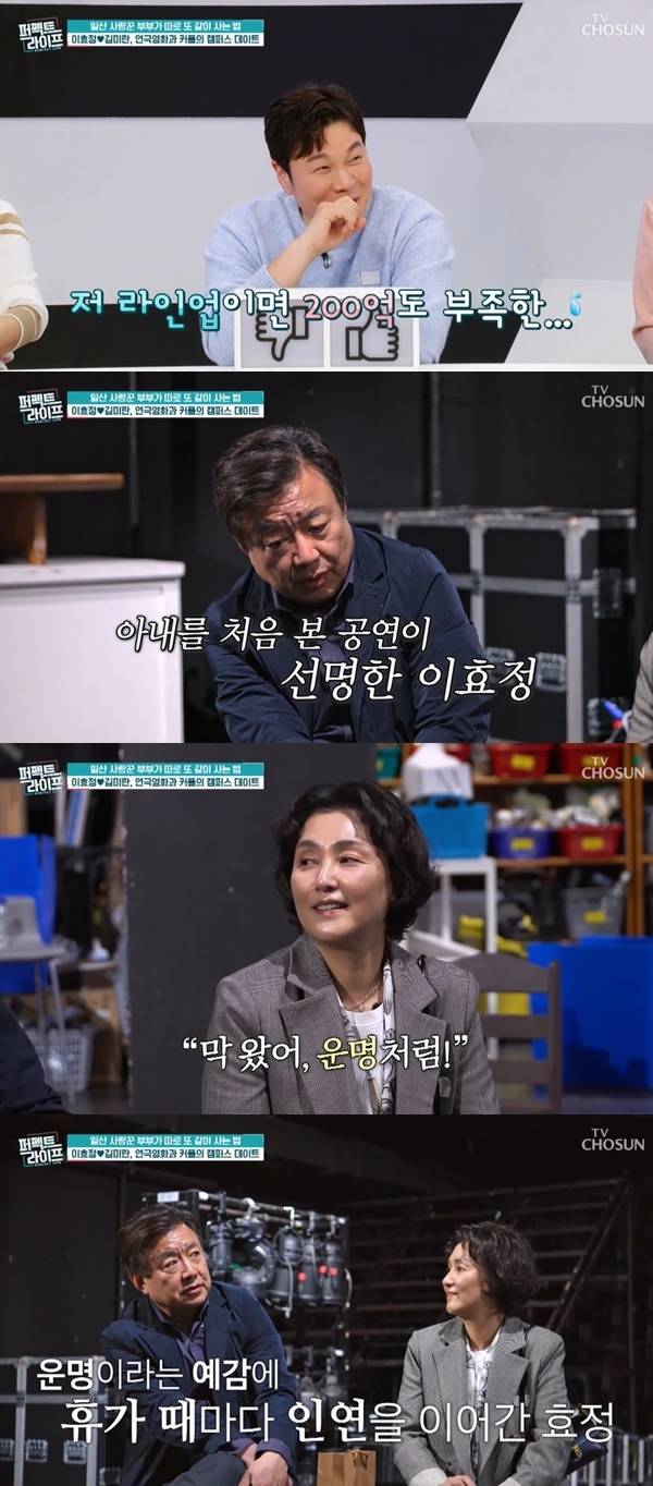 TV조선 ‘퍼펙트라이프’ 캡처