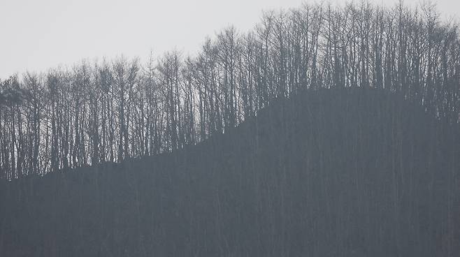 경남 산청지역 산불 장기화로 27일 오후 산청군 시천면 야산에 산불 흔적이 가득하다. 연합뉴스