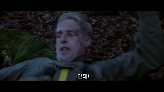 영화가 시작하는 이유