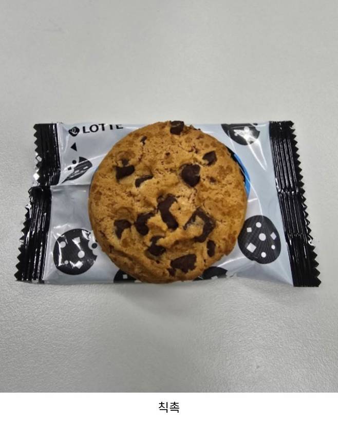사람마다 취향 갈리는 초코쿠키