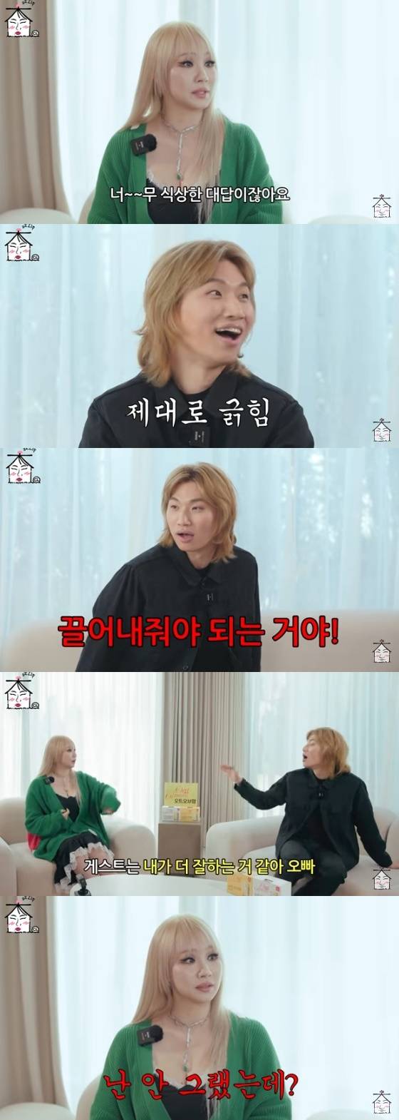 /사진=유투브 '집대성'