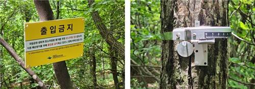 수목 탄소 흡수량 조사 모습. [국립공원공단 제공. 재판매 및 DB 금지]