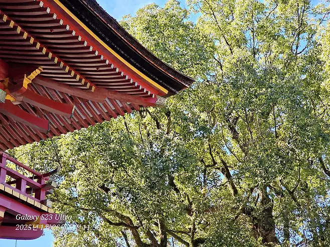 7fed8273b5836af051ee87e04e827473f0ea8f561be2fb50ced2e1e044787abc1f