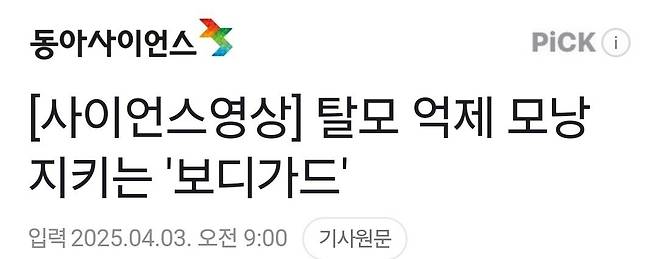 Screenshot_20250405_135116_Gallery.jpg 불치라던 탈모 치료법 나왔다
