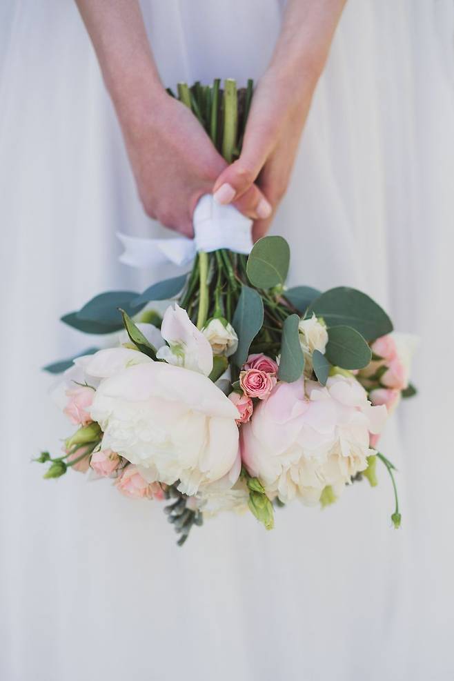 /사진=게티이미지뱅크