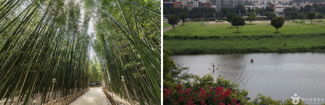 태화강국가정원/ 사진=한국관광공사 홈페이지