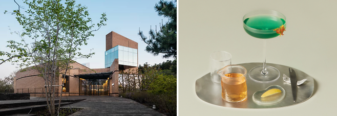 오설록티뮤지엄 / 사진=오설록티뮤지엄 홈페이지