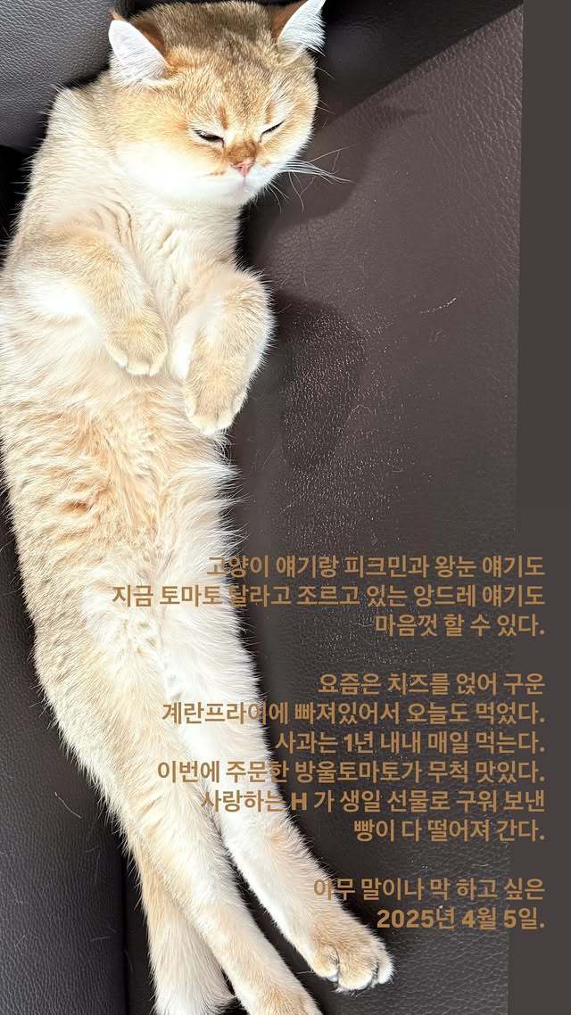 사진=김윤아 소셜미디어