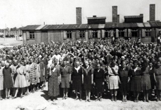 ▲1944년 5월(또는 6월), 아우슈비츠 수용소에 닿은 뒤 ‘가용 노동자’로 분류돼 머리를 깎인 여성 신입 수감자들. ⓒ위키미디어