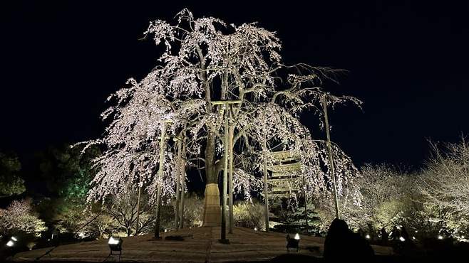 0be98972b2f36df5239d83e1379c701e6c674a6638b204629c0d97d9b3e945e98ca657b99df7dacb8a41959a62b3ab824dc464be96