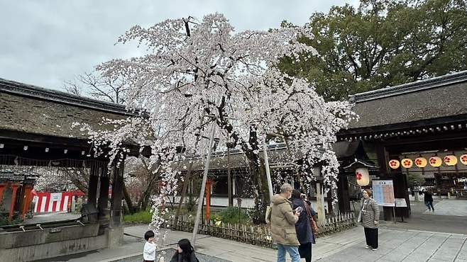 7fedf372b1806bf323eb8491349c706a28ebdbe9cfed9ca9747d301120d2f24c5f3739aa277ac7404fdcbebdcfec769e3ba3f82fa8