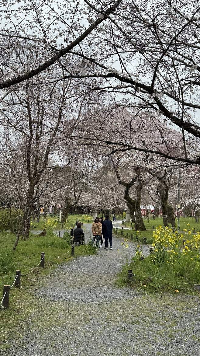 0f99f200b2876eff239af397329c70197d43ac7dadec44201612d1cfd212c4e63f608c4a4bb97e522f6d8fe24a4d77fa90ef8fec8c6e