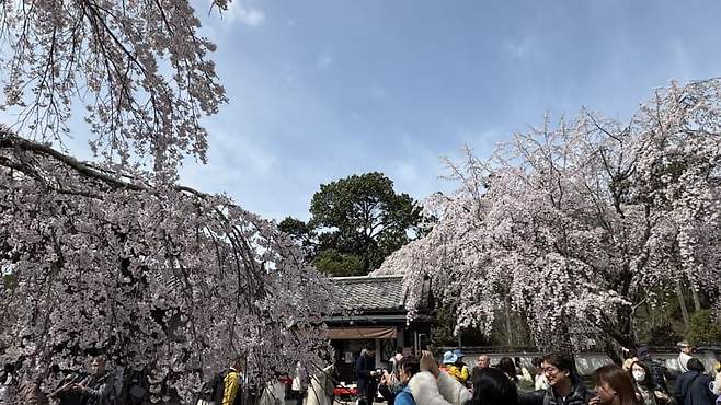 0c99f402c0876df22399f490339c706a73272d5d780b4090d98888d612696b09734540df0d5fdf0fcff8182ff691e0d4ef726765c0