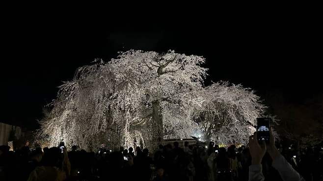 08988303b6f4608523e7f5e04f9c706544f0d5704af1a5098e8e171b43bd144a85858fdf1e8af40848861a7f5220de2525006ea2ed