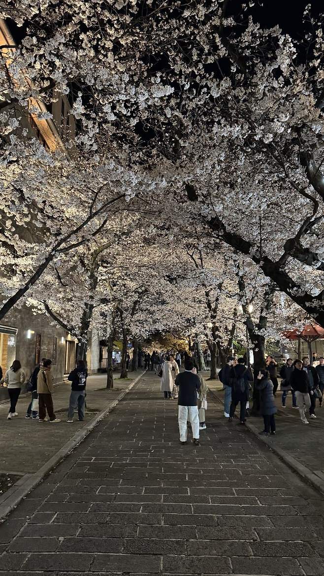 08ebf403b5821cfe239e84e2329c7019bd8be49cd0122b1975e53813b698f65c87bd57749f8a9bf15d2acd06a48b738cf5ce827ff3