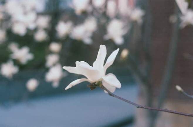 0b9b8874b3856af423eff3e6339c706da4fcd46cdd981586033d18467bebc54de9198a034bbf1ada0d0b7b939af02bb99a3bf5d737