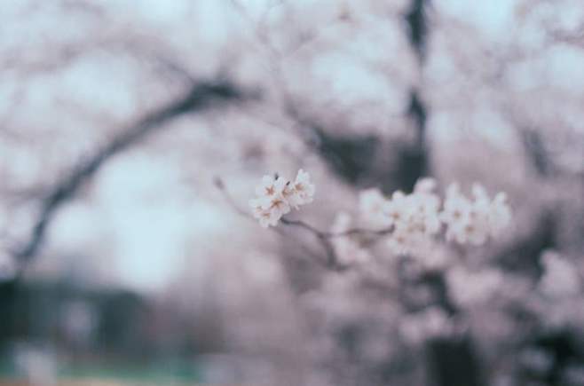 7cee8407c3f01ef323e7f0e74f9c706b6d13ec727fd9c764360014f9cfa9c3cbde9d8a3ae393a5e70db6b965a5e74063fa8dfff750