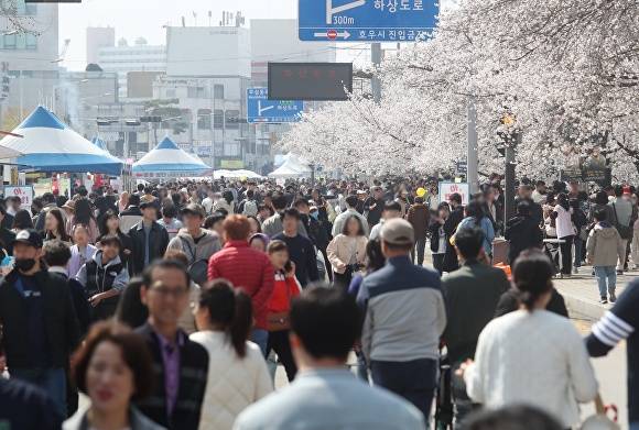 2025 벚꽃축제가 열린 청주의 대표 벚꽃 명소인 무심천 일대가 상춘객들로 북적이고 있다. [사진=청주시]