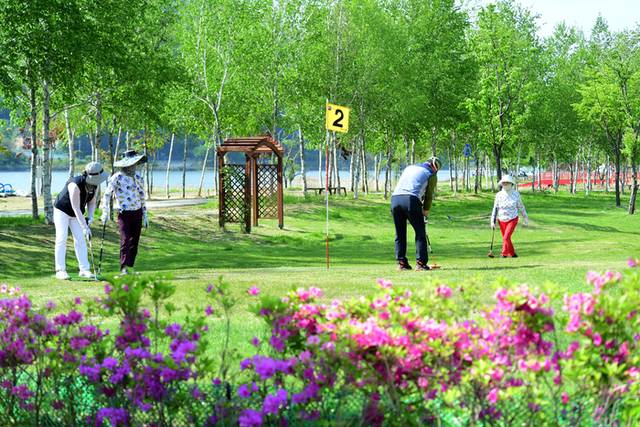 ▲ 사진은 지난해 화천 산천어 파크골프장에서 열렸던 2024 전국 부부(가족) 파크골프 대회 의 경기 모습.